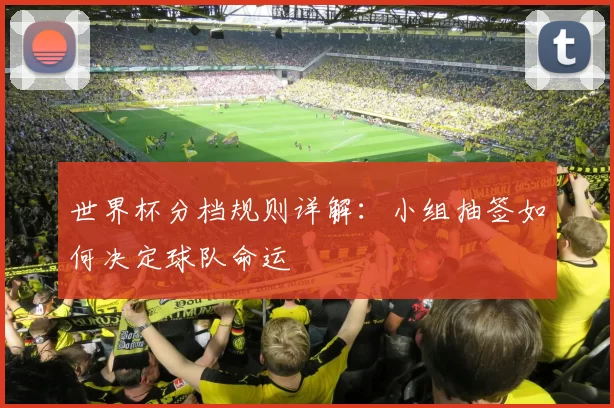 世界杯分档规则详解：小组抽签如何决定球队命运