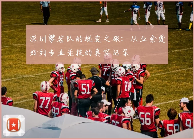 深圳攀岩队的蜕变之旅:从业余爱好到专业竞技的真实记录