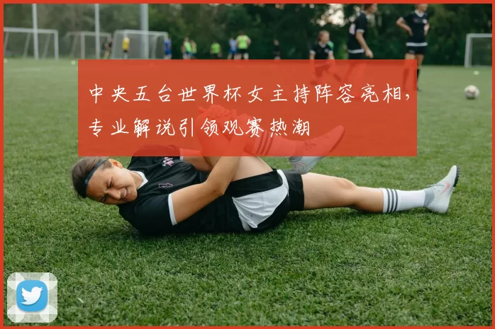 中央五台世界杯女主持阵容亮相,专业解说引领观赛热潮