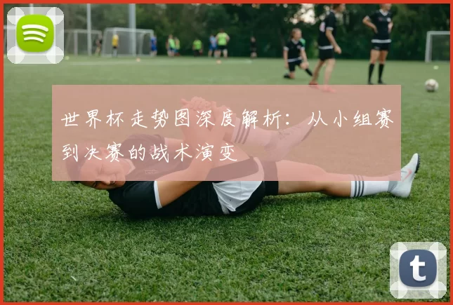 世界杯走势图深度解析：从小组赛到决赛的战术演变