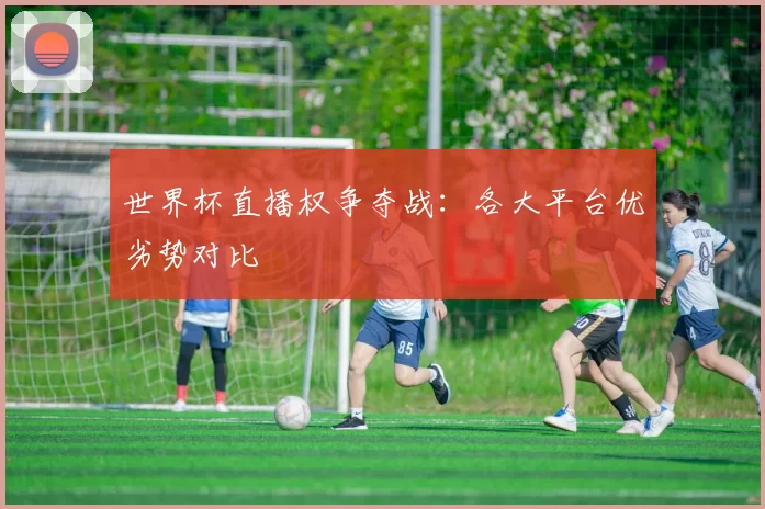 世界杯直播权争夺战:各大平台优劣势对比