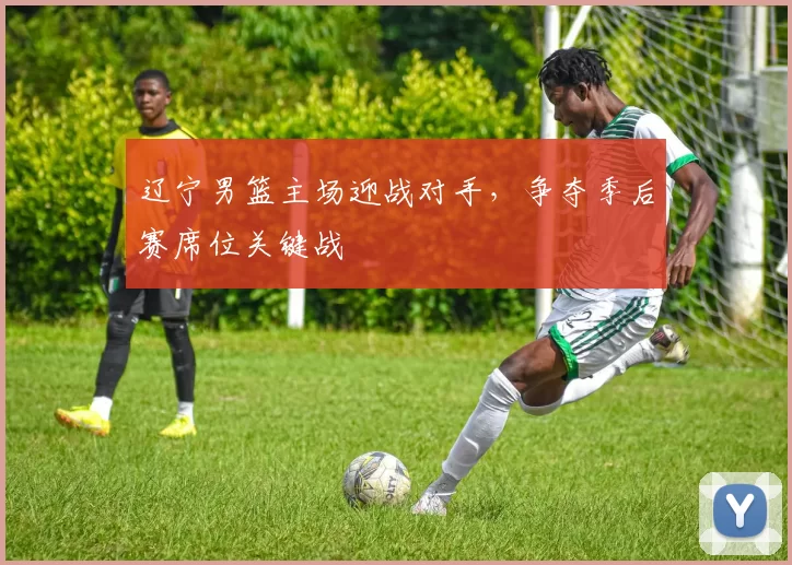 辽宁男篮主场迎战对手，争夺季后赛席位关键战