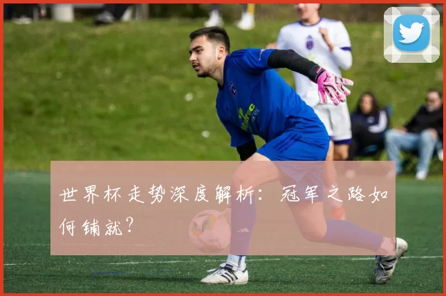 世界杯走势深度解析：冠军之路如何铺就？