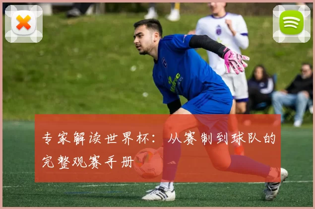 专家解读世界杯：从赛制到球队的完整观赛手册