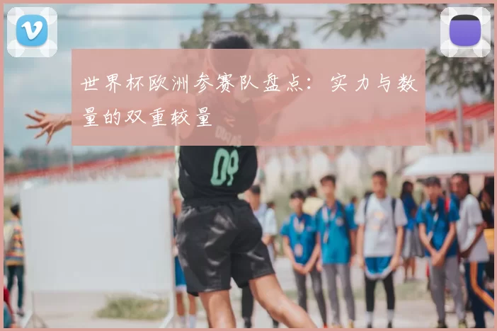 世界杯欧洲参赛队盘点:实力与数量的双重较量