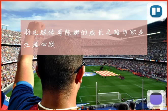 羽毛球传奇陈娜的成长之路与职业生涯回顾