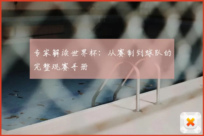 专家解读世界杯:从赛制到球队的完整观赛手册
