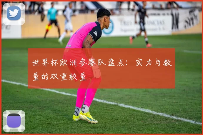 世界杯欧洲参赛队盘点：实力与数量的双重较量