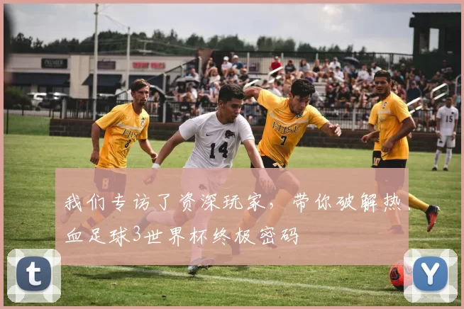 我们专访了资深玩家，带你破解热血足球3世界杯终极密码
