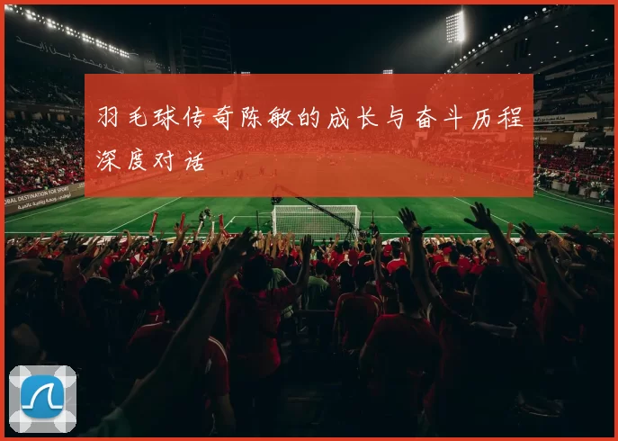 羽毛球传奇陈敏的成长与奋斗历程深度对话